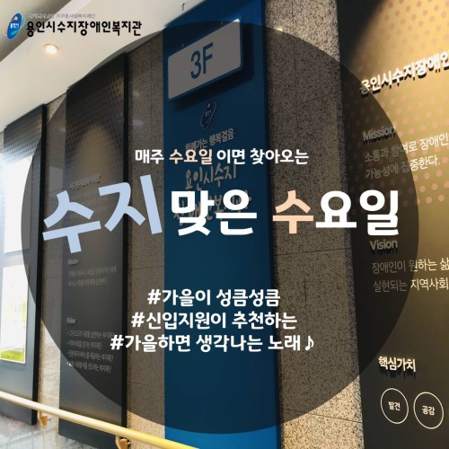 [수지맞는 수요일] 신입직원이 추천하는 가을하면 생각나는 노래♪