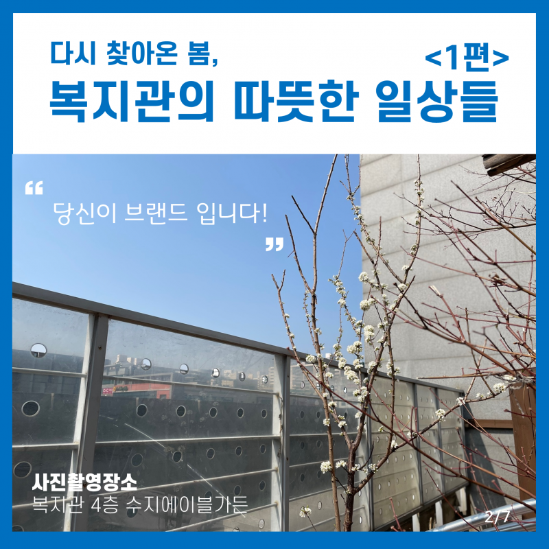 e17d6a0d24d3af3efc193b6e2af69981_1616566654_7298.PNG