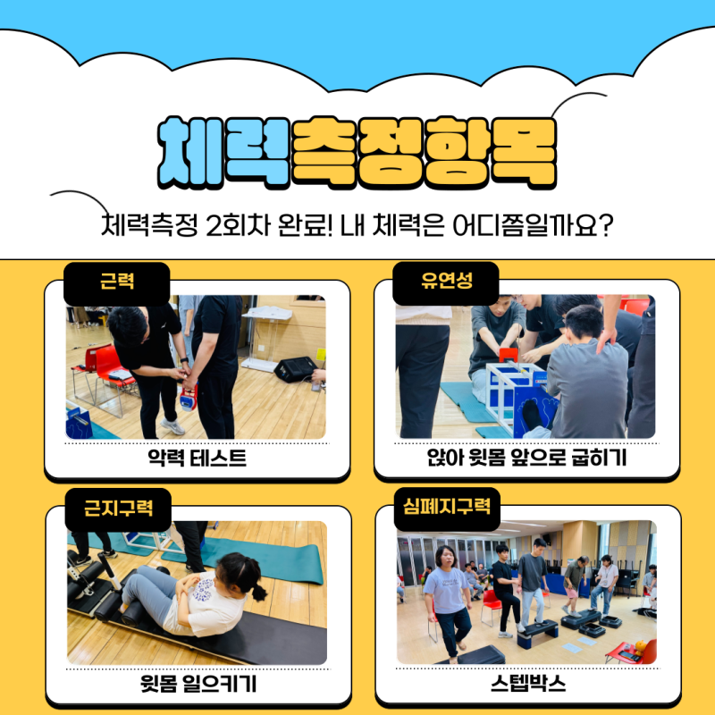 체력측정항목: 근력, 유연성, 근지구력, 심폐지구력