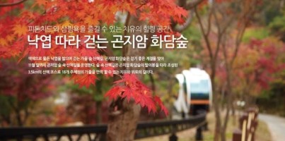 [지역개발]2015 자원봉사자 나들이