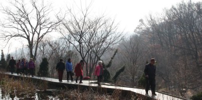 11월 등산동호회