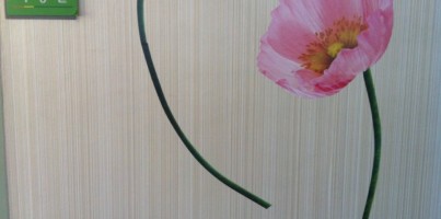 현대시트 나눔 지원사업 후기( 수원시장애인종합복지관)