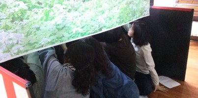 [지역개발팀]가랑비극장 성민유치원