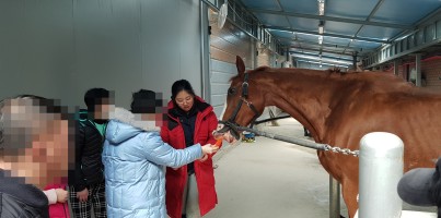[주간보호]재활승마