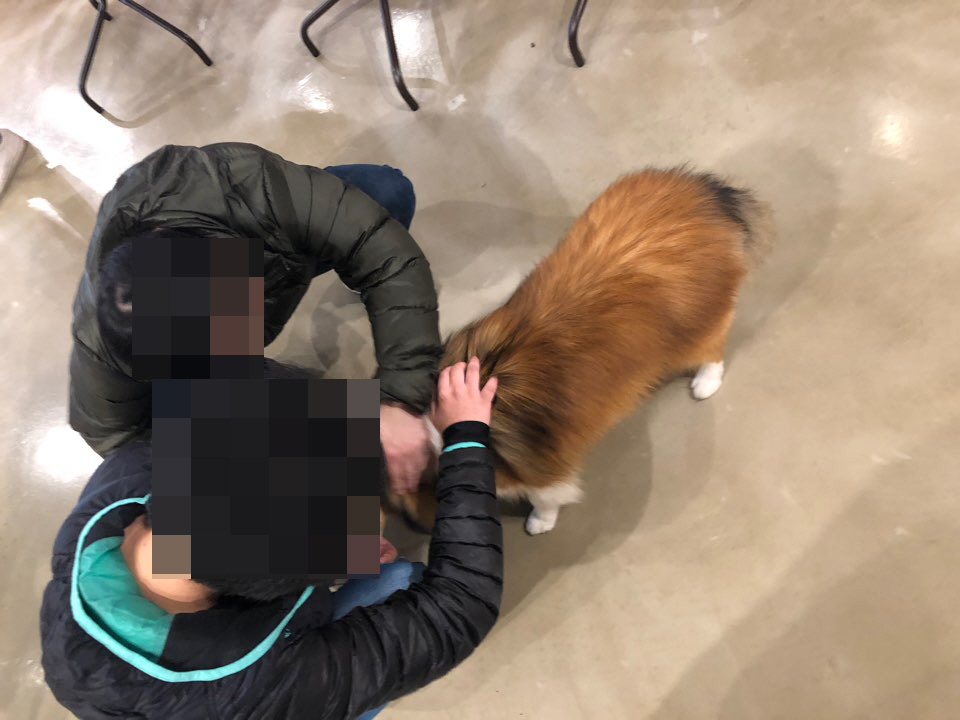 꾸미기_KakaoTalk_20181030_095203921.jpg