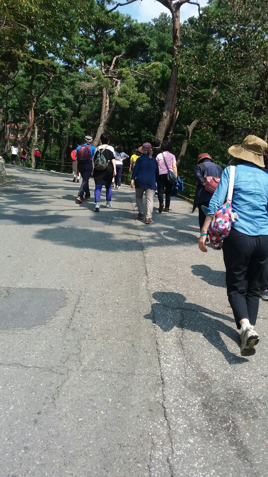 KakaoTalk_20160927_114859006.jpg