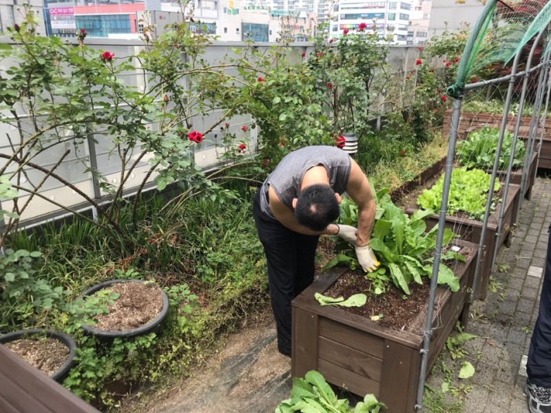 KakaoTalk_20190517_133339817.jpg