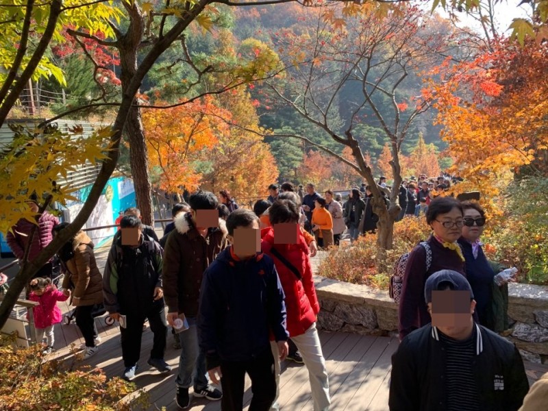 KakaoTalk_20191111_131144183.jpg