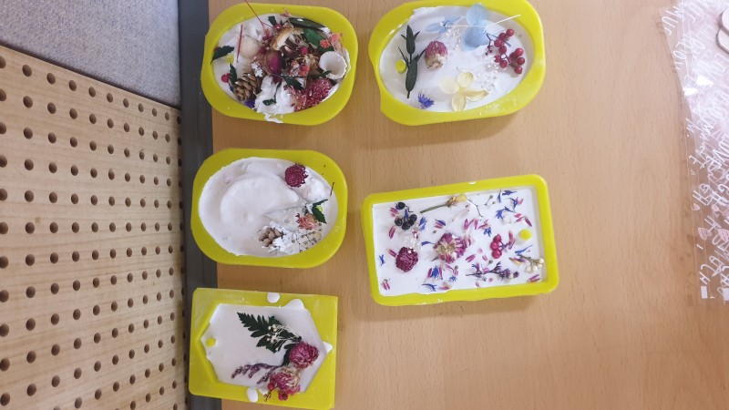 20190810_104428.jpg